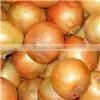 Fresh Yellow Onion thumbnail-1