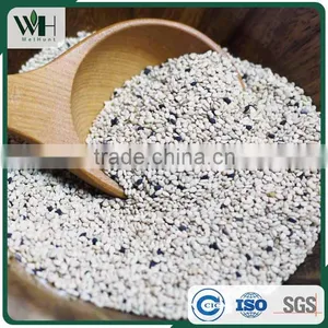 Reliable Pakistan White Sesame Supplier thumbnail-3