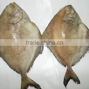 Frozen Black Pomfret Whole Round Size 200-300 and 300-500 thumbnail-4