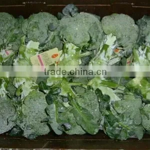 Broccoli thumbnail-2