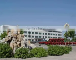 Weifang Huahai Industry & Trade Co., Ltd. company overview - view 1 thumbnail