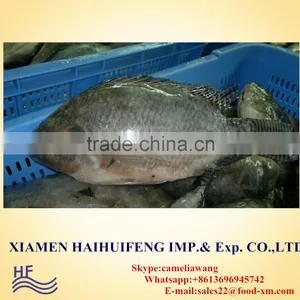 Frozen Gutted Scaled Tilapia thumbnail-1