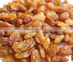 Dried Red Raisin thumbnail-1