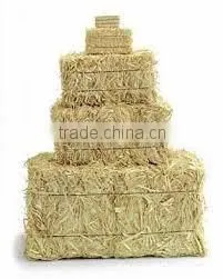 Wheat Straw Bale, Hay Straw Bale, Wheat Hay Bale, Straw Hay Bale, Wheat Straw thumbnail-1