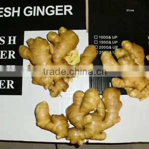2015 Fresh Ginger thumbnail-1