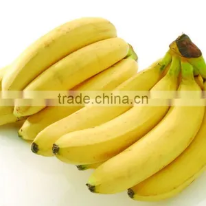 Pure and Natural Dried Banana Fruit Powder Musa Paradisiaca /Food Grade Banana Flavour Instant Powder thumbnail-1