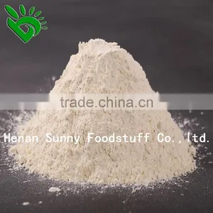 Professional Supplier Exported Since 1992 Ground Garlic thumbnail-1