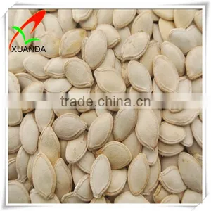 Shine Skin Pumpkin Seeds 8-9cm, 9-10cm, 10up thumbnail-1