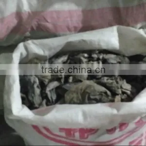 Wholesale Price Abalone Feed Dried Seaweed Sheet|kelp|laminaria Japonica Cut thumbnail-4