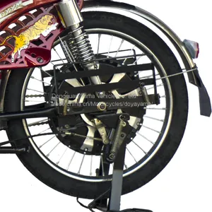 South Asia Market Cargo Loading Bike Electric Bike Electric Bicycle for Wholesale thumbnail-3