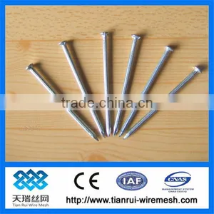 Nail/concrete Nail thumbnail-1