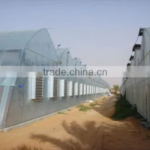 Poly-Film Greenhouse thumbnail-5