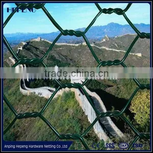 Lowest Price for Chicken Wire Mesh/ Hexagonal Mesh/ Wire Netting - Best Quality and Longtime Antirust thumbnail-1