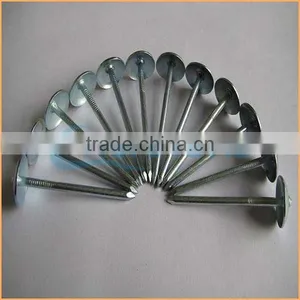 Top Quality Annular Roofing Nails Trusted Chuanghe Suppliers From Com thumbnail-3