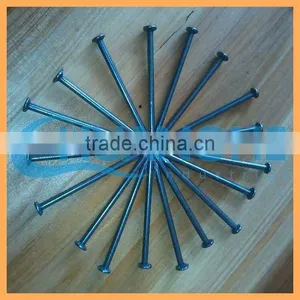 Manufacture High Quality Low Price Specializing in the Production of Galvanized Iron Nail thumbnail-5