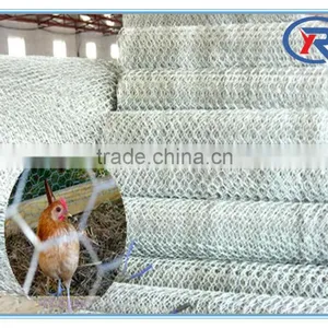 High Quality Lowest Price Galvanized Hexagonal Wire Mesh (Chicken Mesh) Made in China thumbnail-5