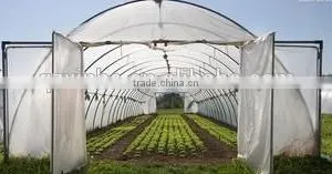 Single-span Film Greenhouse for Agriculture thumbnail-1