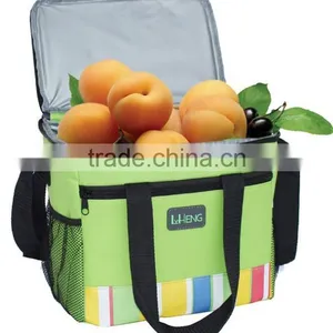 China Supplier Customized Promotion Cheap Disposable Cooler Bag thumbnail-1