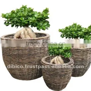 Round Flower Basket Set 3pcs thumbnail-1