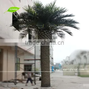 GNW APM030 Washingtonia Robusta Palm Tree for Christmas Ornaments on Sale thumbnail-1