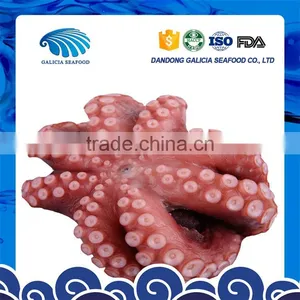 Frozen Flower Octopus Vulgaris With Good Quality thumbnail-1