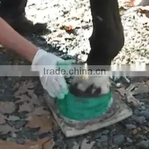 Molding Equine Hooves thumbnail-1