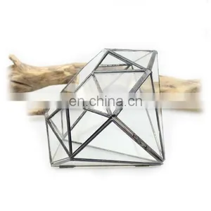 Terrarium Geometric Glass Terrarium Wholesale thumbnail-3