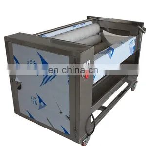Automatic Ginger Peeling Machine Yam Peeler Potato Skin Removal Machine thumbnail-3