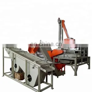 Almond Hulling Machine Almond Sorting Machine Almond Processing Line thumbnail-2