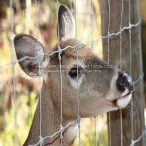 Hot Dip Zinc Coating Fixed Knot Deer Fence thumbnail-1