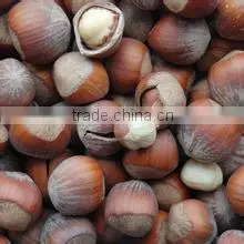 Hazelnut in Shell ,Hazelnut Kernels ,Organic Hazelnut thumbnail-1