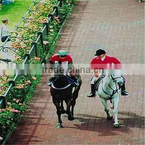 Horse Pathway Rubber Brick/recycled Rubber Paver thumbnail-1