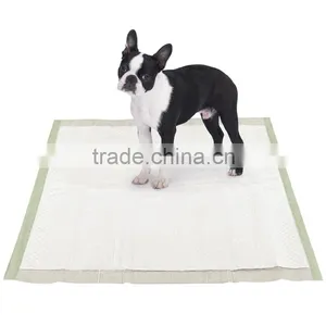 Adult Pee Pads How to House Train a Puppy Puppy Toilet Pads thumbnail-1