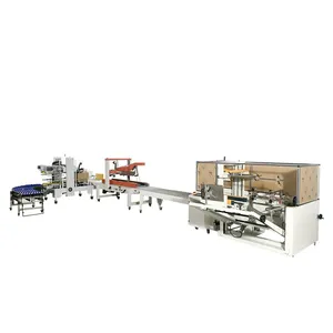 Back Road Packaging Production Line Logistics Industryrear-channel Packaging Production Line thumbnail-3