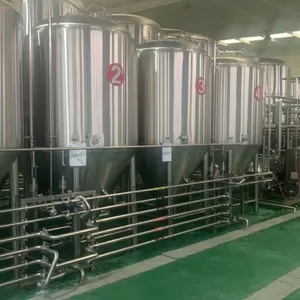 From Novice to Expert: The Ultimate Guide to Craft Beer Equipment Selection – Taught by a Manufacturer's Engineer thumbnail-5