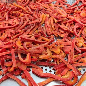 Bulk Supplier of IQF Frozen Red Pepper Slices - Premium Quality IQF Frozen Sweet Red Pepper Strips, IQF Frozen Red Capsicum, 5-7/7 thumbnail-1