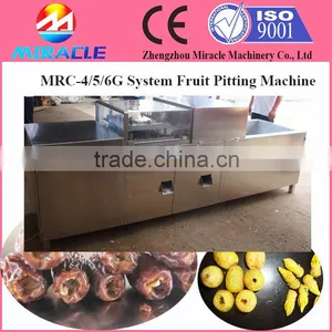 Sefri Dates Sultana Dates Process Pitting Pitter Machine thumbnail-3