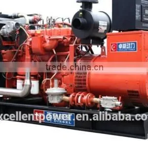 Biogas Generator Price thumbnail-2