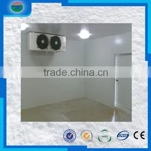 Bottom Price Trade Assurance Cold Room/cold Storage for Fruit thumbnail-3