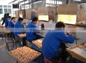 Shanghai Chinon Medical Model & Equipment Manufacturing Co., Ltd. company overview - view 2 thumbnail