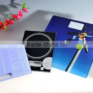 Body Scale Glass Panel thumbnail-3