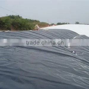 High Quality Hdpe Geomembrane Cheap Price/hdpe Geomembrane Liner/waterproofing Materials thumbnail-2