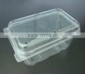 Clear Plastic Fruit Container Customized thumbnail-3