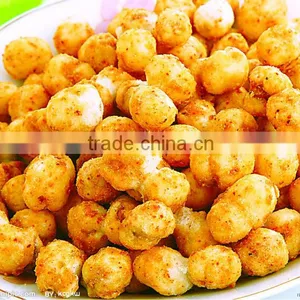Hot Sale Coated Peanuts Machine thumbnail-4