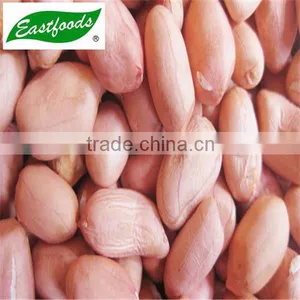 New Crop Peanut Kernel thumbnail-5