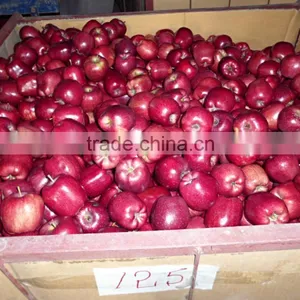 Export Red Delicious Apple Company thumbnail-6