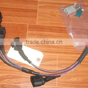 Automotive Male to Female Connector Wire Harness thumbnail-1