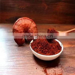Hot Sale GMP Reishi Mushroom Extract thumbnail-2