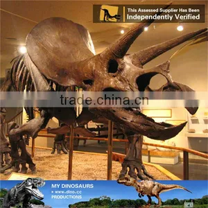 MY Dino-C087 Amusement Park Life Size Triceratops Skeleton thumbnail-4