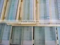 Microslide Zea Mays,Indonesia Microscope Glass Slide thumbnail-5